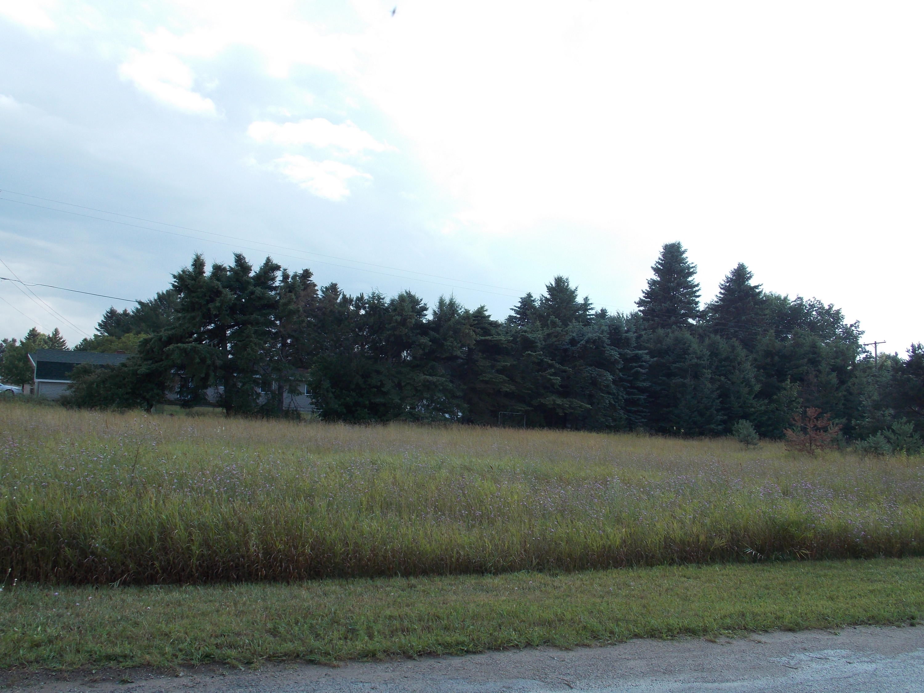 Mitchell/hayes Road Gaylord, MI 49735 - Photo 1 of 3 Gallery Image 1