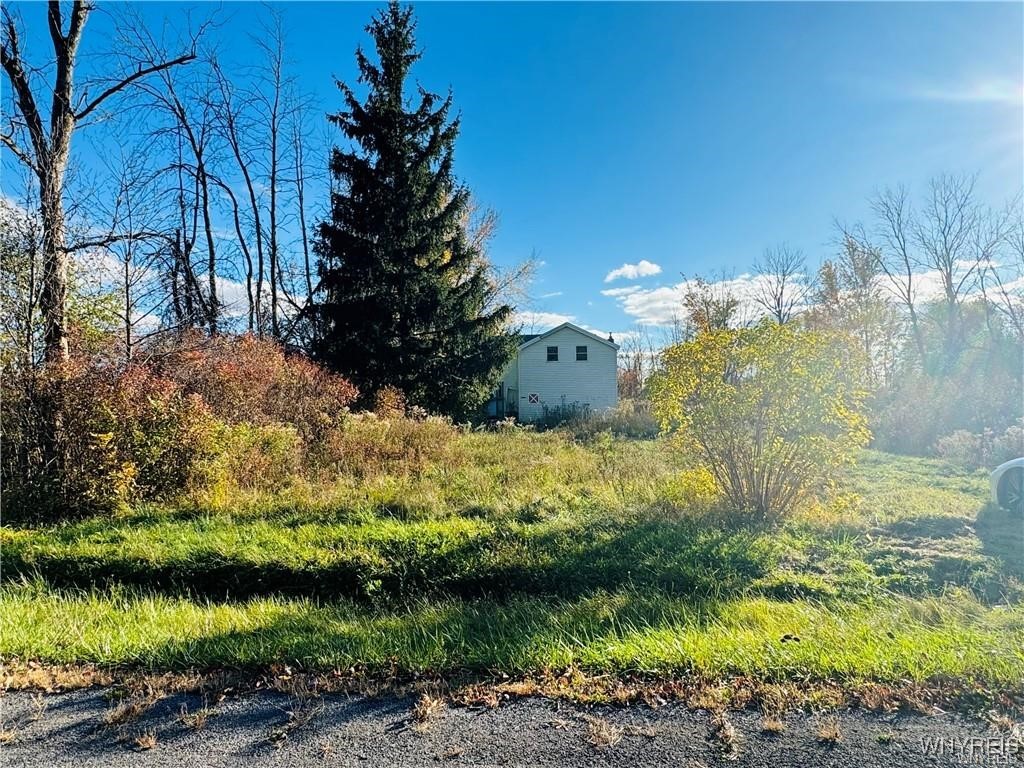 9404 Chestnut Ridge Road Royalton, NY 14105 - Photo 4 of 6