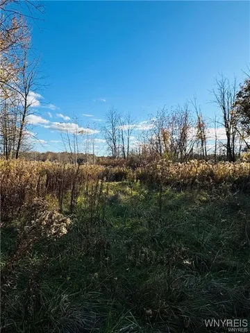 $49,000 | 9404 Chestnut Ridge Road, Royalton, NY 14105