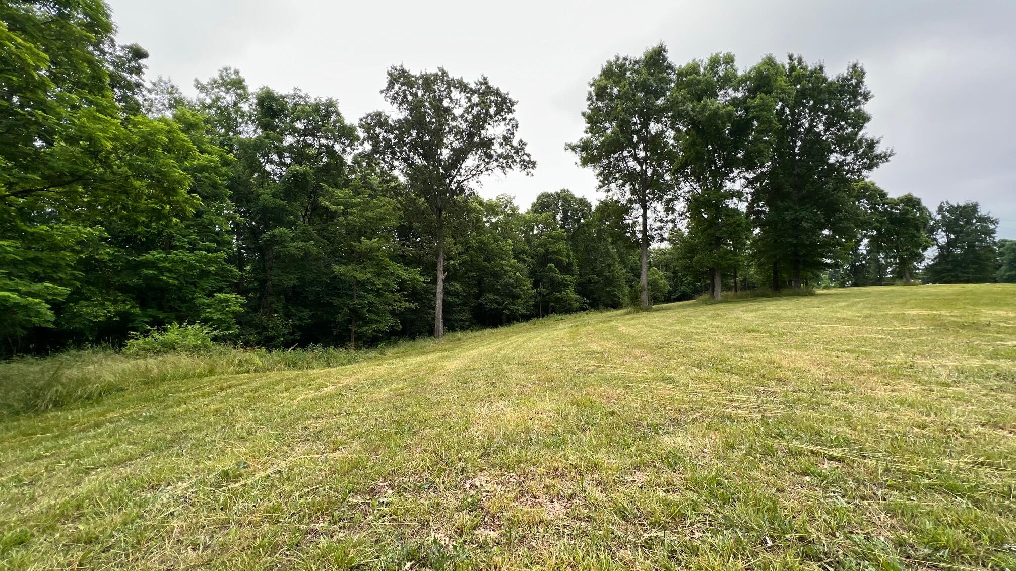10885 B Napoleon-Zion Station Road Dry Ridge, KY 41035 - Photo 15 of 43