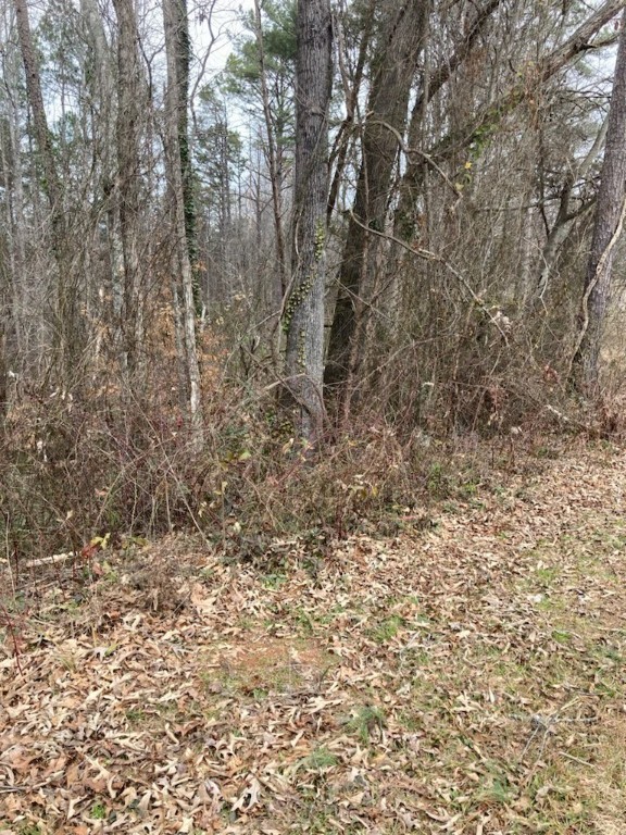 0 Love And Care Road Six Mile, SC 29682 - Photo 1 of 10 Gallery Image 1