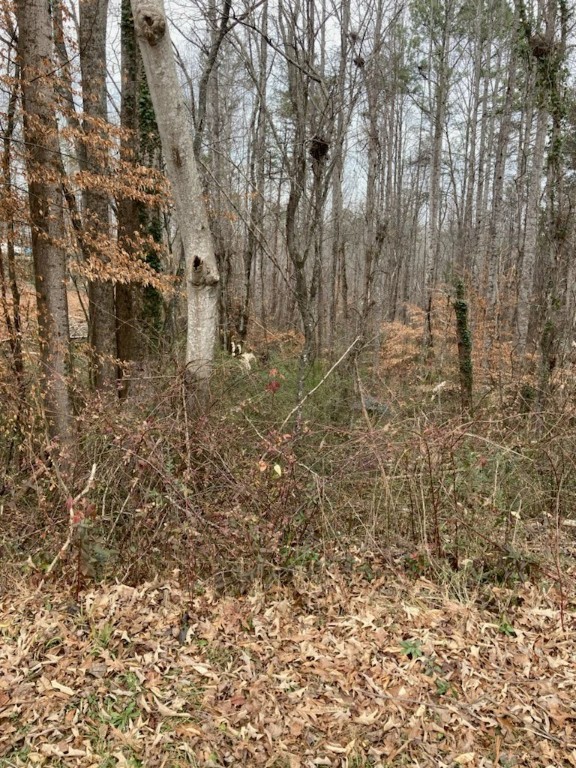 0 Love And Care Road Six Mile, SC 29682 - Photo 2 of 10 Gallery Image 2