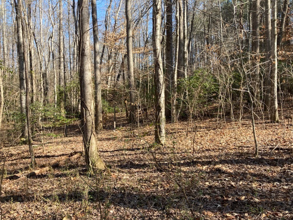 0 Love And Care Road Six Mile, SC 29682 - Photo 4 of 10 Gallery Image 4