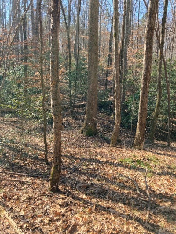 0 Love And Care Road Six Mile, SC 29682 - Photo 7 of 10 Gallery Image 7