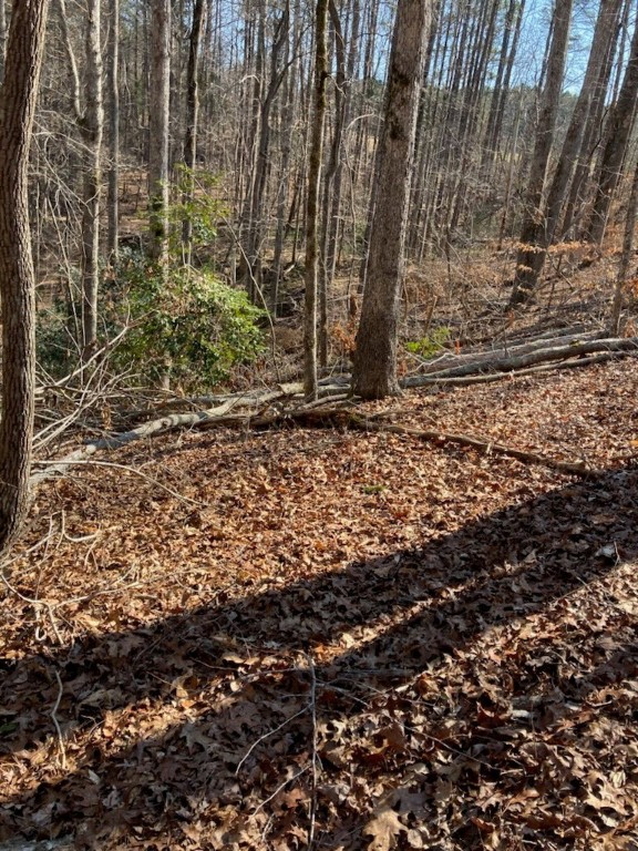 0 Love And Care Road Six Mile, SC 29682 - Photo 8 of 10 Gallery Image 8