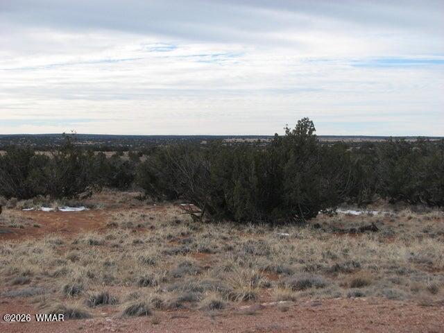 98-99 Chevelon Canyon Ranch, Unit 1 Heber, AZ 85928 - Photo 6 of 13 6