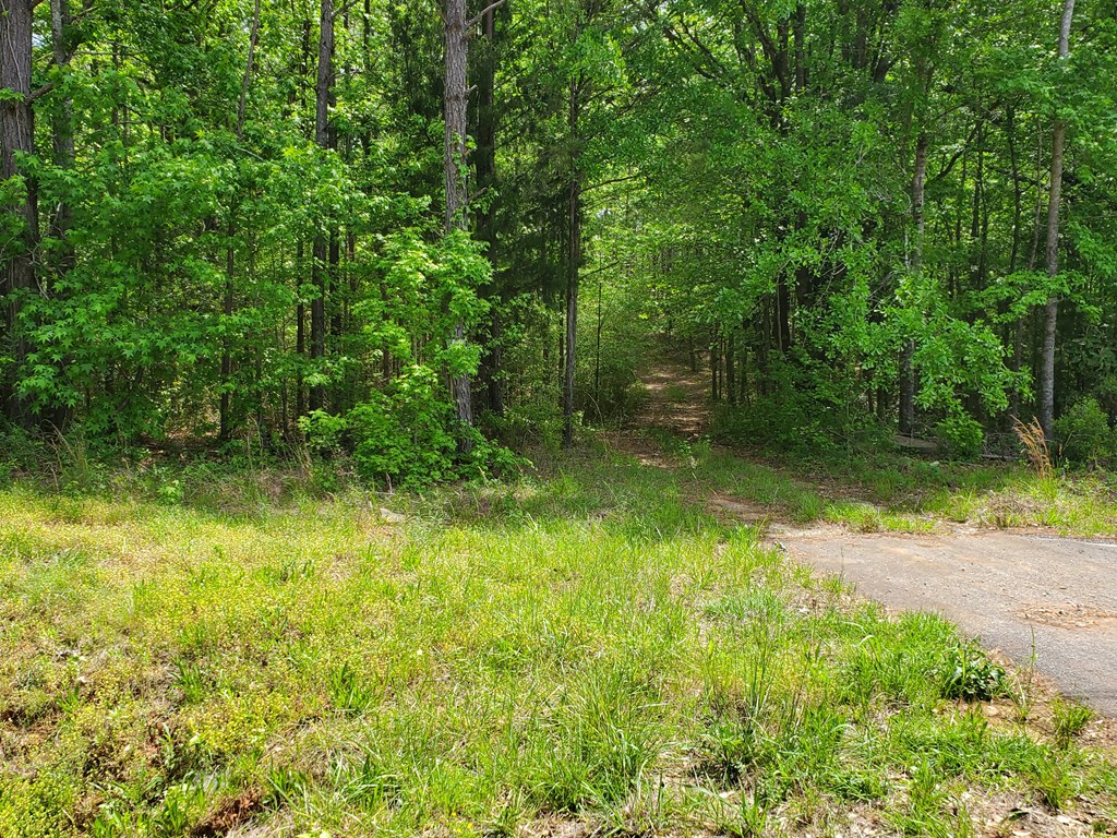 9210 Highway 0027 Hamilton Ga 31811 Hamilton, GA 31811 - Photo 2 of 7