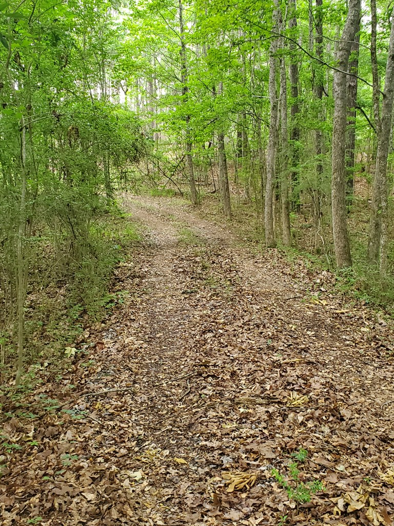 9210 Highway 0027 Hamilton Ga 31811 Hamilton, GA 31811 - Photo 4 of 7