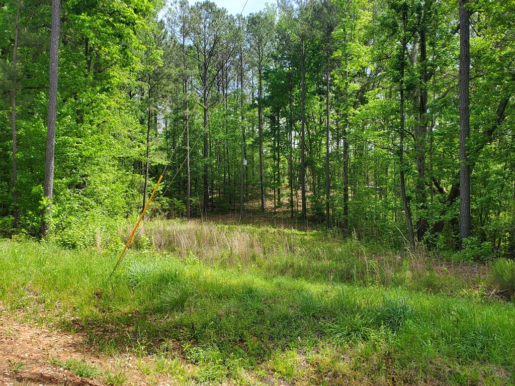 9210 Highway 0027 Hamilton Ga 31811 Hamilton, GA 31811 - Photo 5 of 7
