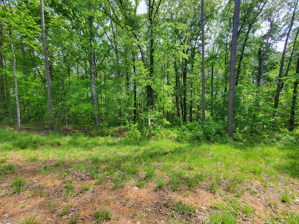 9210 Highway 0027 Hamilton Ga 31811 Hamilton, GA 31811 - Photo 6 of 7