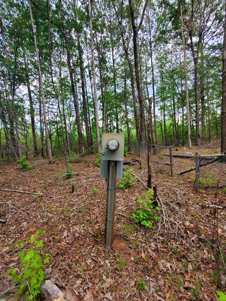 9210 Highway 0027 Hamilton Ga 31811 Hamilton, GA 31811 - Photo 7 of 7