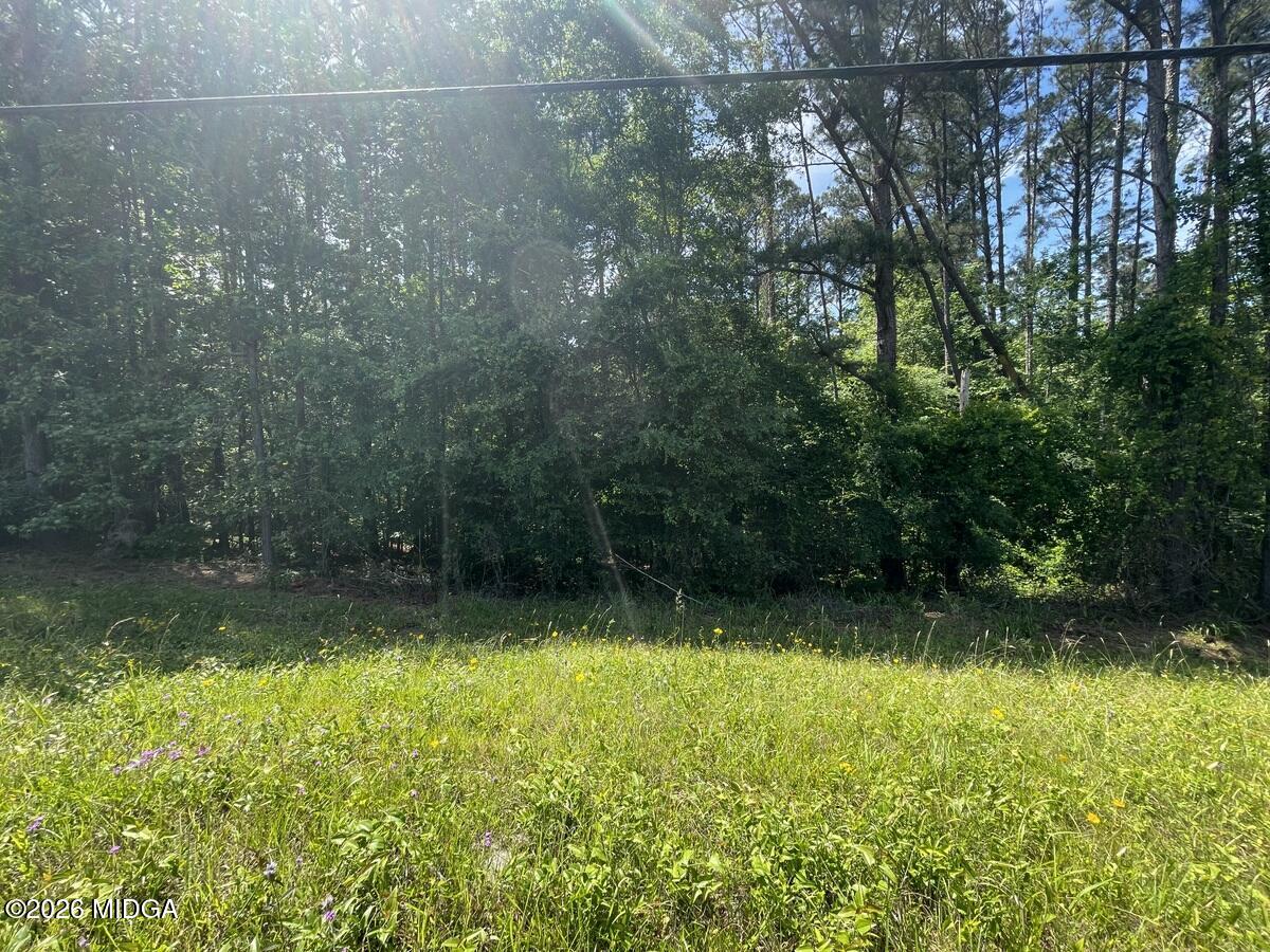 - Gray Road Southwest Eatonton, GA 31024 - Photo 5 of 9 IMG_7527