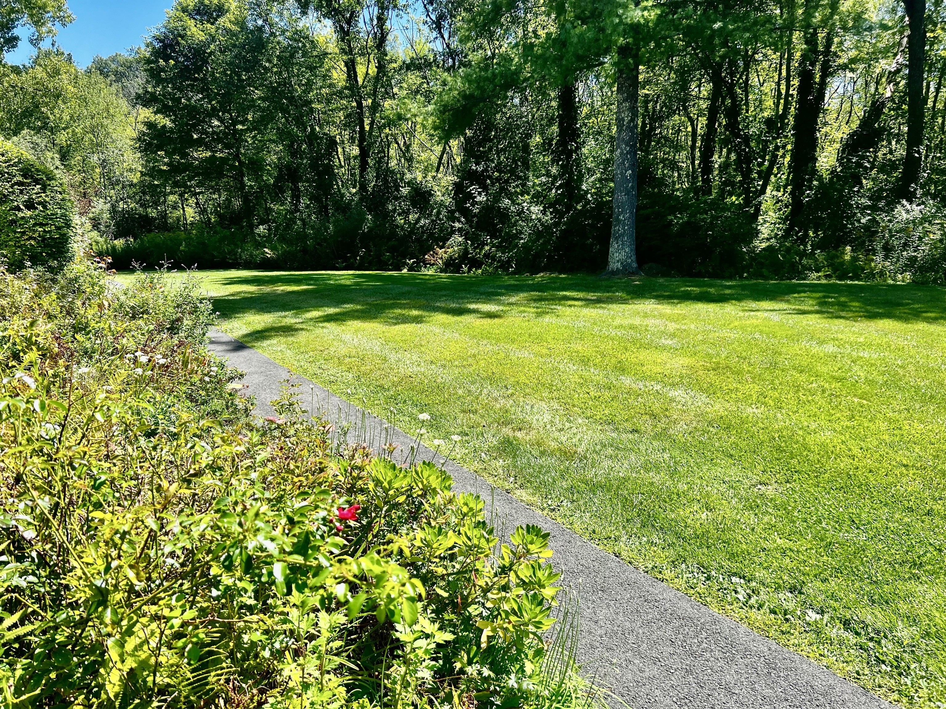 7 Honeysuckle Lane, Unit 7 Ridgefield, CT 06877 - Photo 5 of 22 Opposite the Condo is a Rolling Lawn