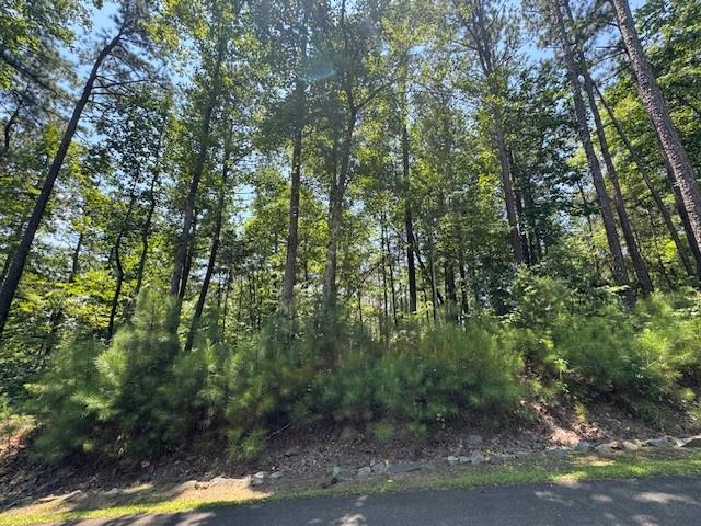 0 Carters View Drive Ellijay, GA 30540 - Photo 2 of 5