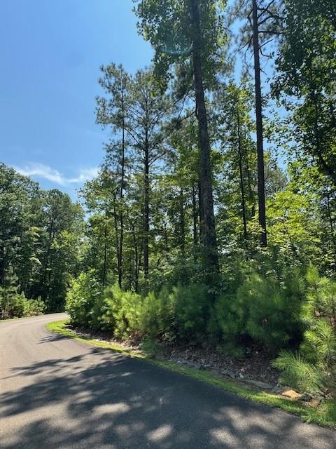 0 Carters View Drive Ellijay, GA 30540 - Photo 3 of 5