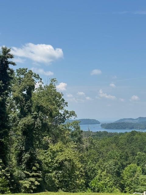 0 Carters View Drive Ellijay, GA 30540 - Photo 4 of 5
