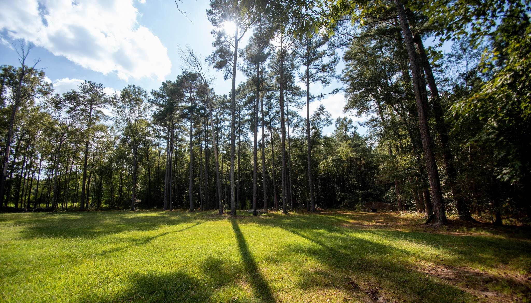 560 Covington Road Bunnlevel, NC 28323 - Photo 17 of 19 a view of swimming pool and trees in the background