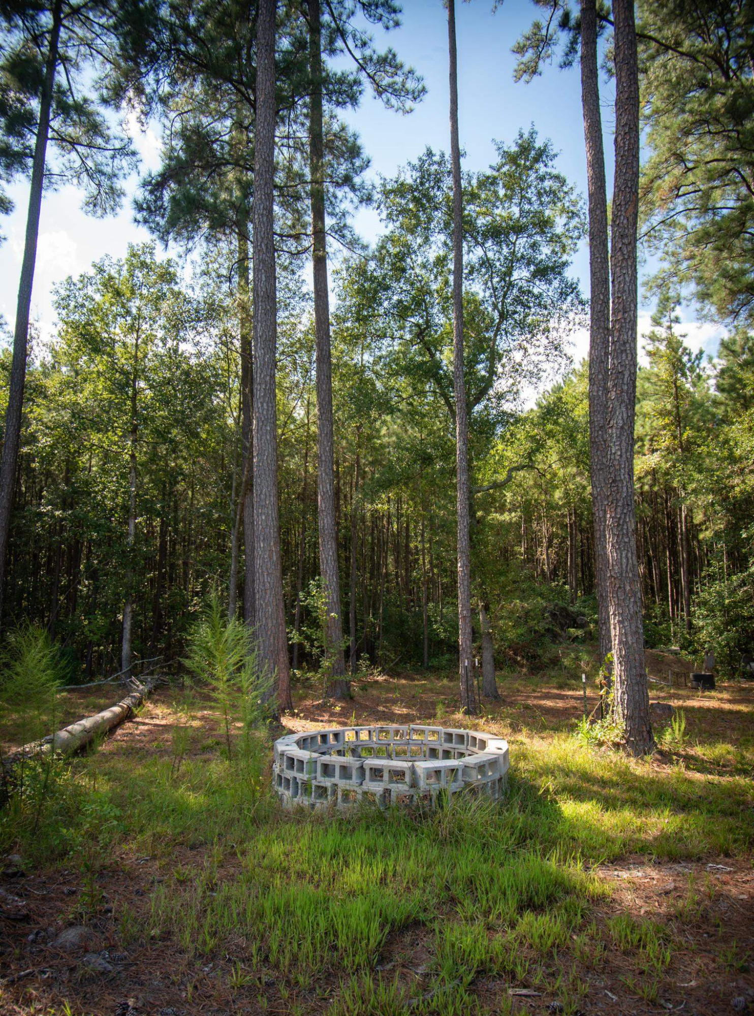 560 Covington Road Bunnlevel, NC 28323 - Photo 18 of 19 a view of a tree with a yard