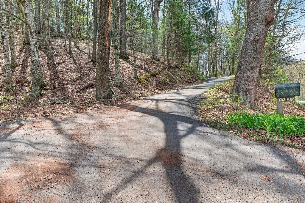11527 Lindell Road Meadowview, VA 24361 - Photo 8 of 63 Gallery Image 8