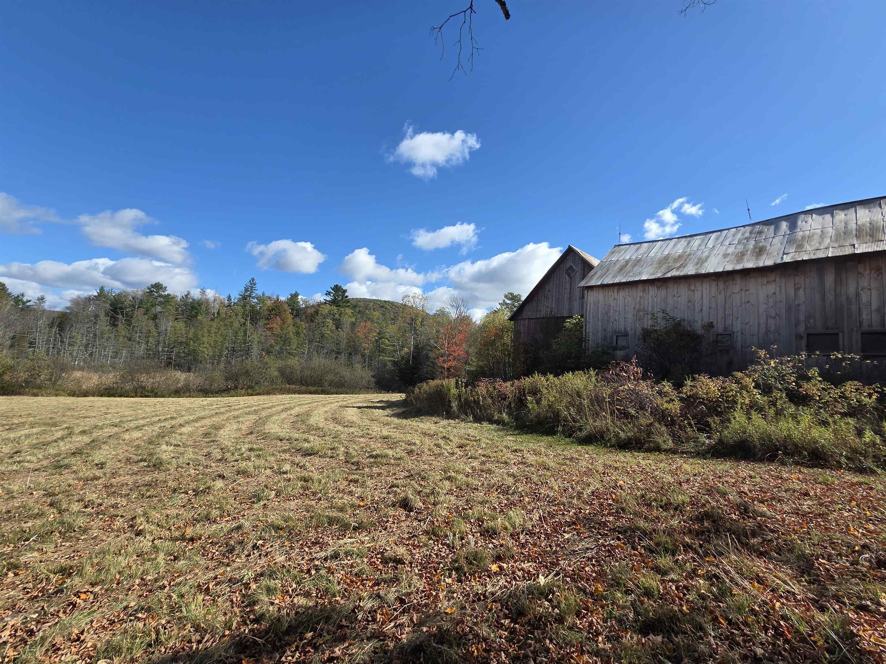 717 Remick Road Waterford, VT 05819 - Photo 54 of 60