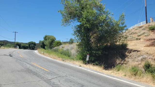 a view of a yard and pathway