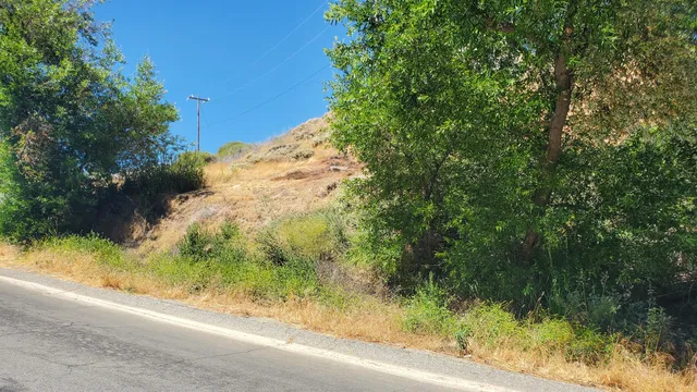 a view of a yard with plants and a bench