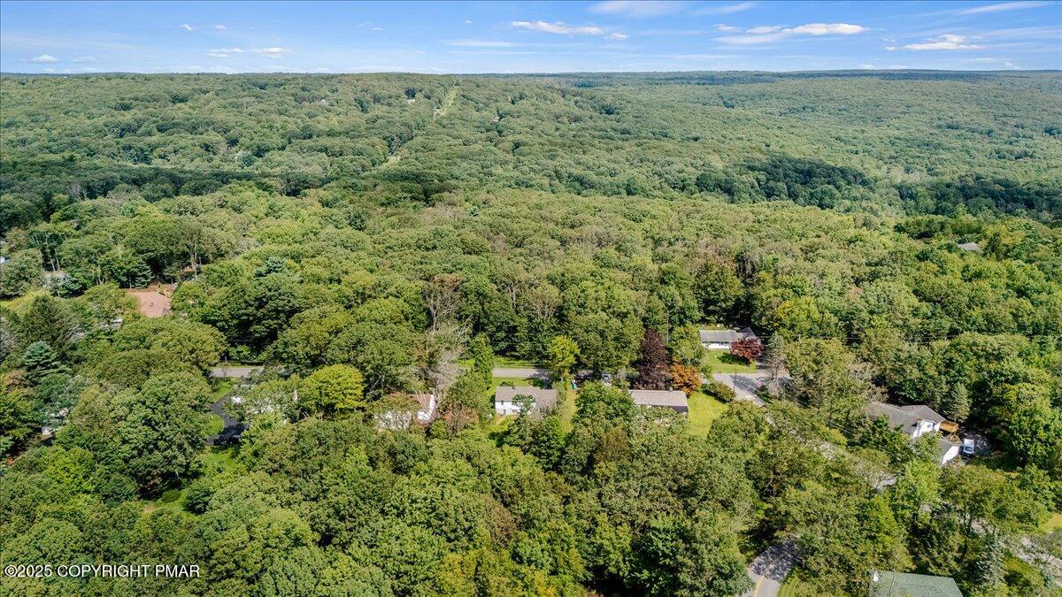 119 Knob Road Mount Pocono, PA 18344 - Photo 8 of 34 a view of a green field with lots of bushes