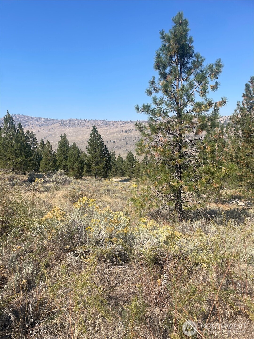 -tbd Reevas Basin Road Tonasket, WA 98855 - Photo 34 of 38