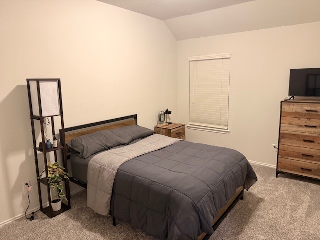 10318 Greenhorn Lane Rosharon, TX 77583 - Photo 15 of 23