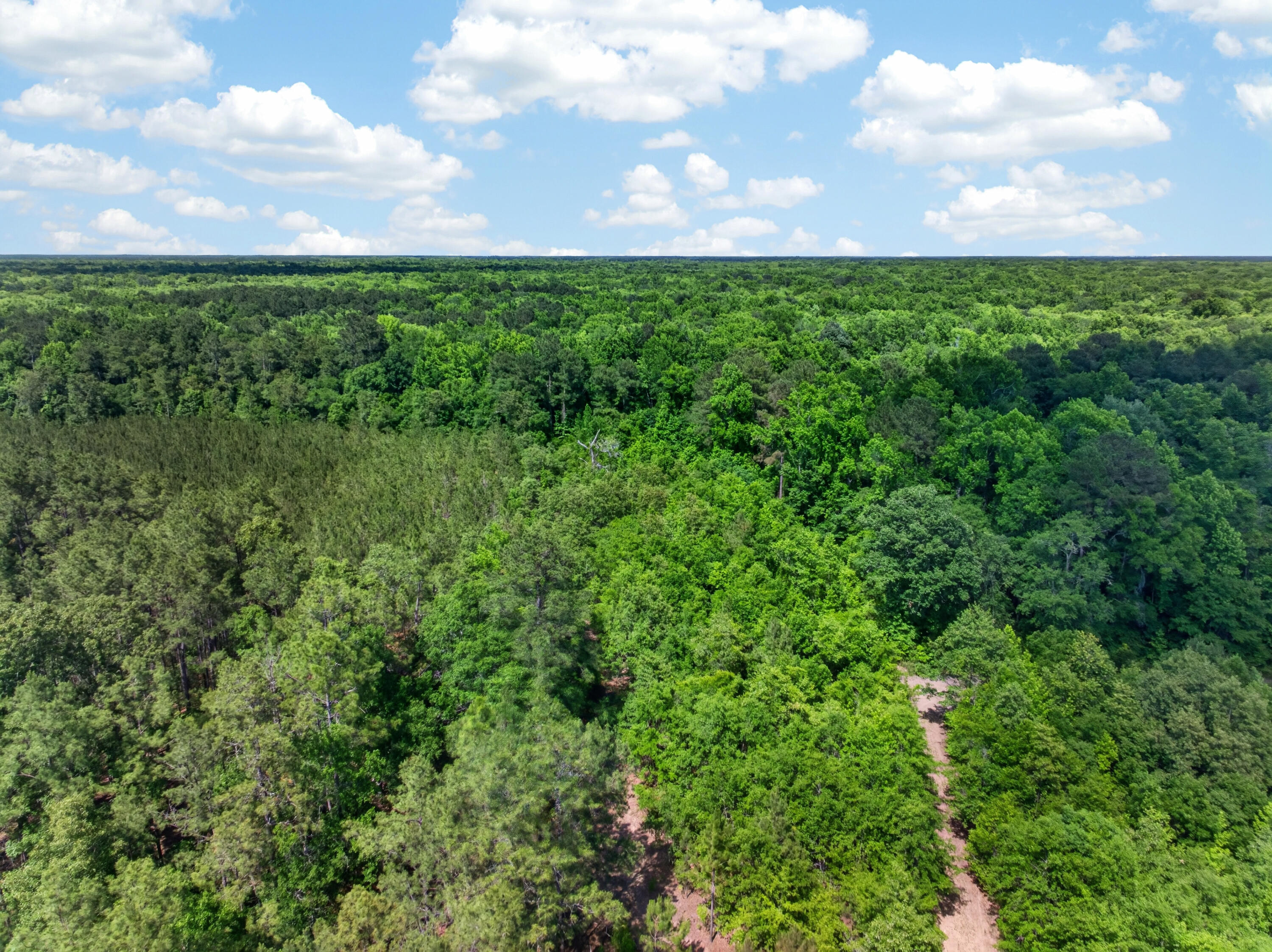 5120 North Brewington Road, Unit 10 Alcolu, SC 29001 - Photo 30 of 40 DJI_20260521143504_0113_D