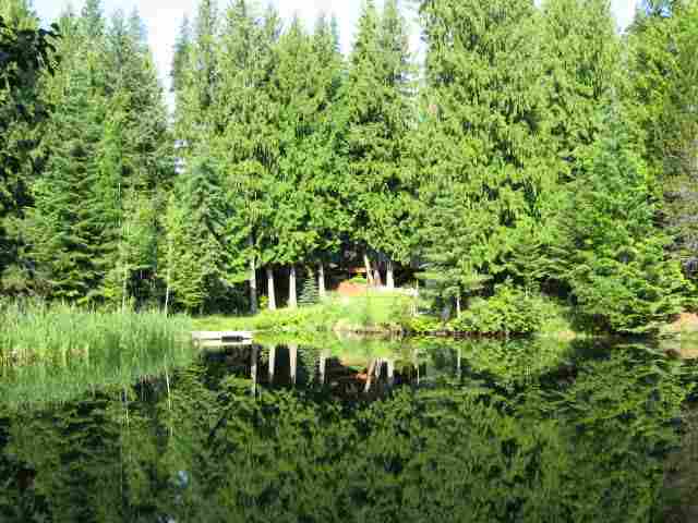 1603 Thompson Road Elk, WA 99009 - Photo 9 of 9 Gallery Image 9