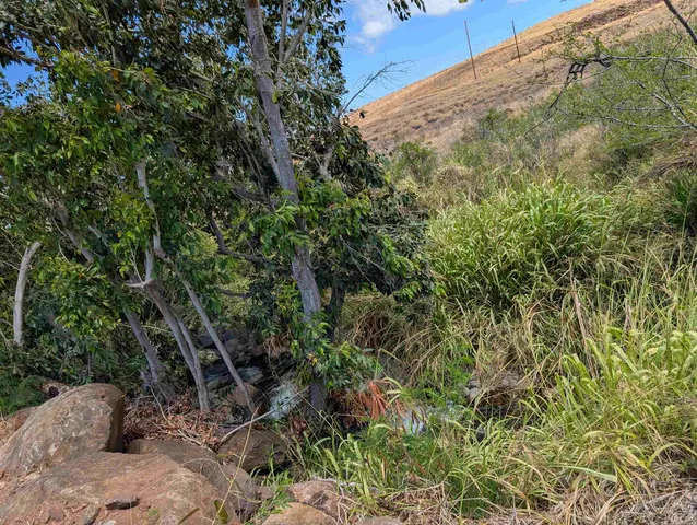 a view of an outdoor space and a forest