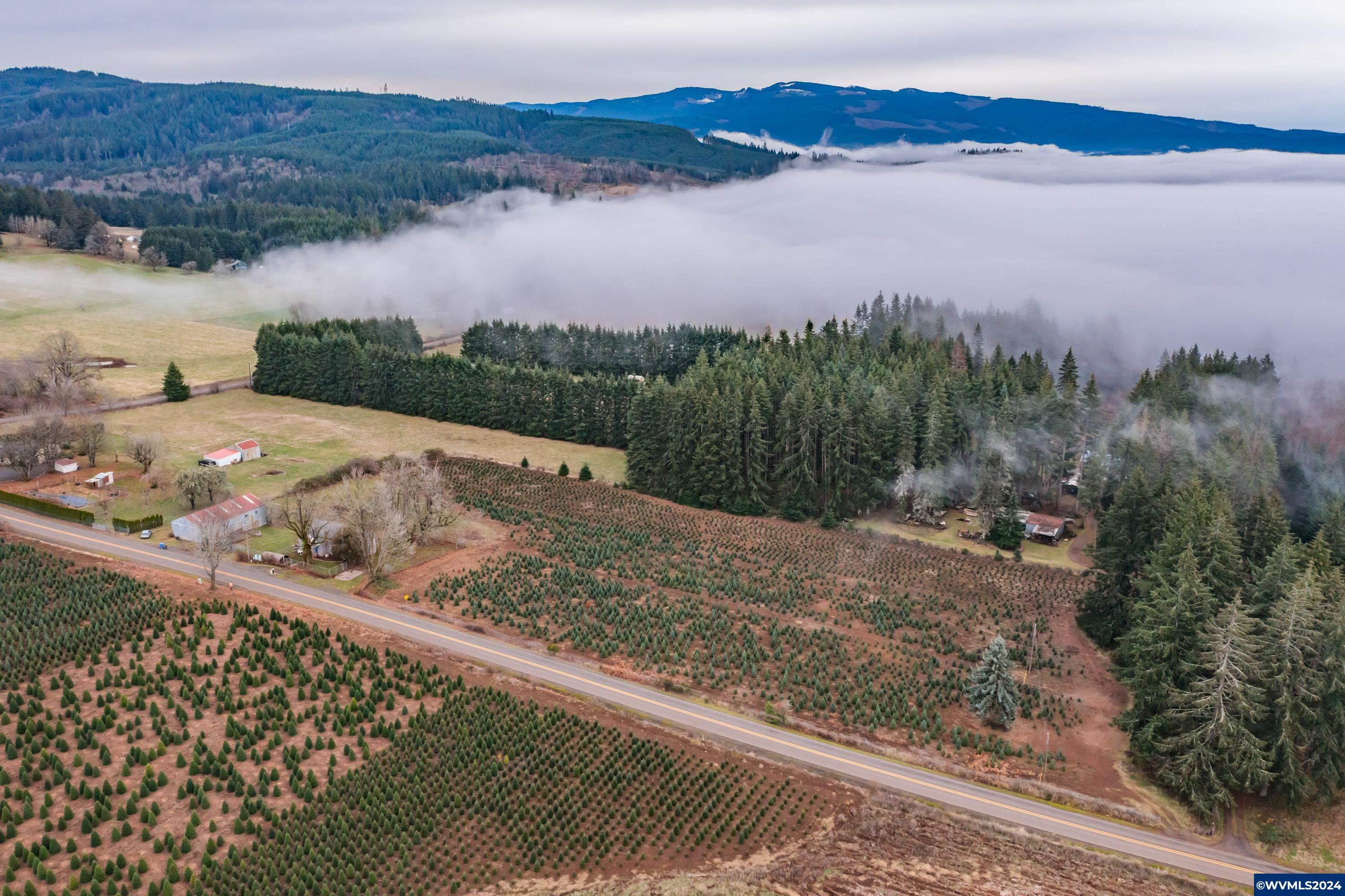 44572 West McCully Mountain Road Lyons, OR 97358 - Photo 2 of 50 Gallery Image 2