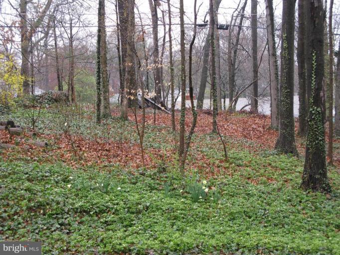 210 Charmuth Road Lutherville-Timonium, MD 21093 - Photo 6 of 21 Wooded View / Acreage