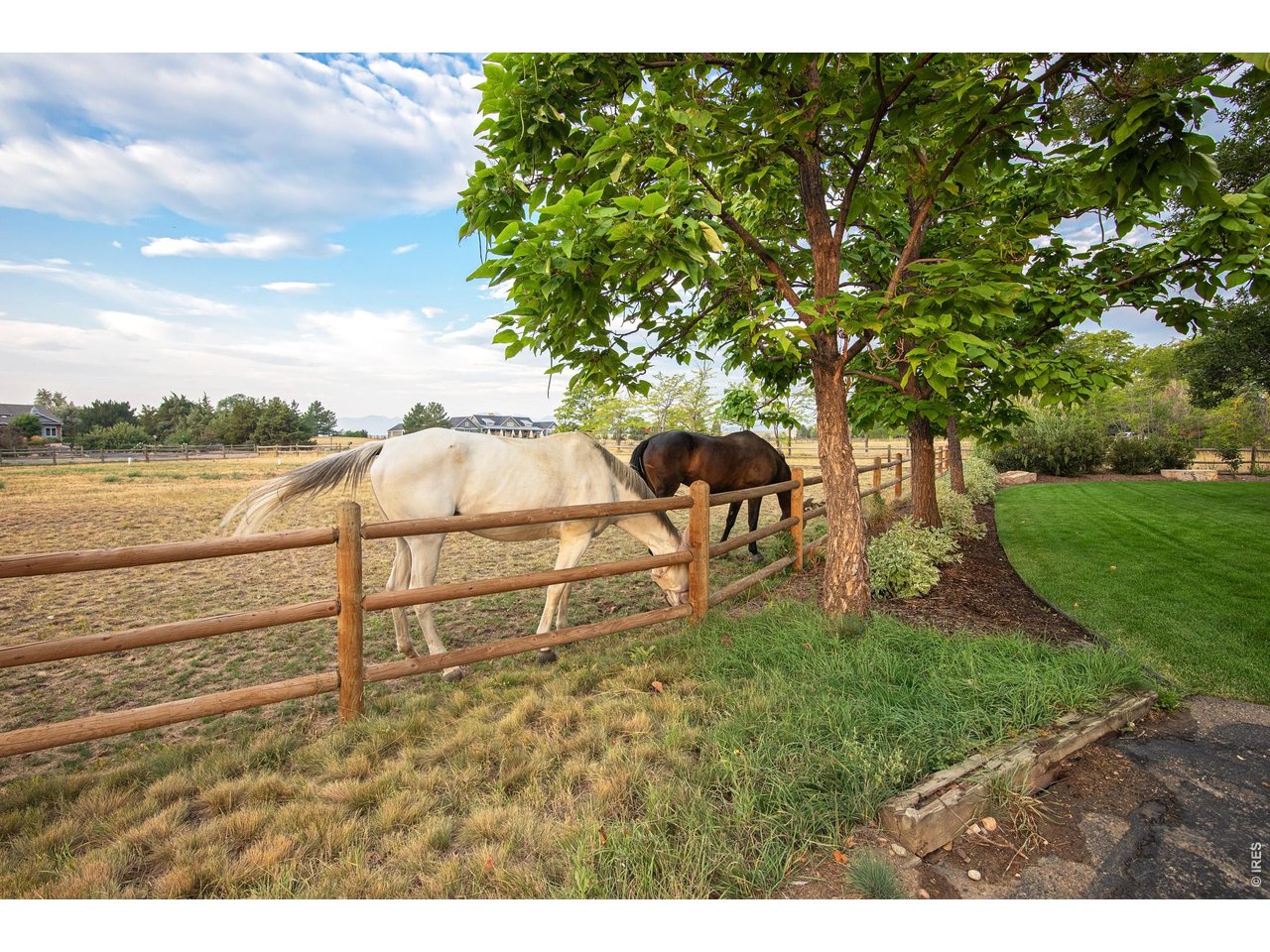 9421 Gunbarrel Ridge Road Boulder, CO 80301 - Photo 44 of 50 Lots of space for horses to roam