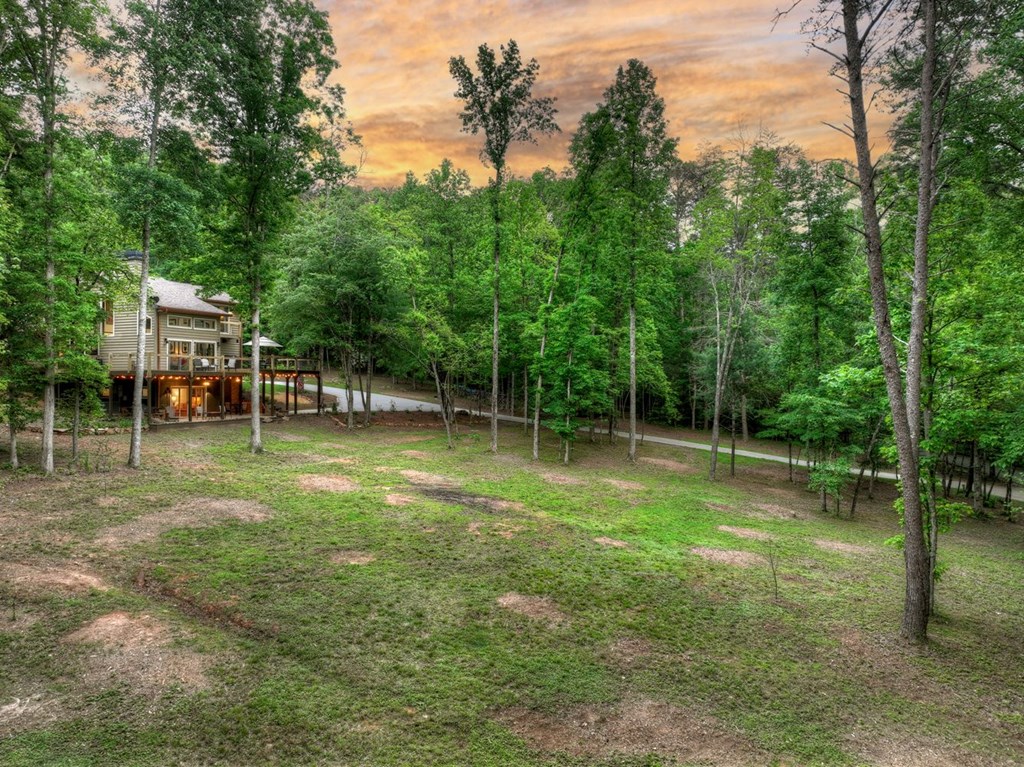 123 Old Fjord Road Blue Ridge, GA 30513 - Photo 12 of 64