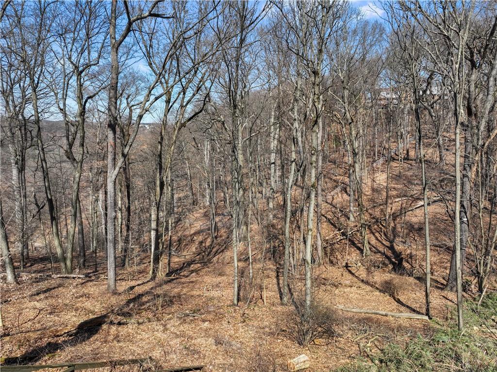 271 Shafer Road Coraopolis, PA 15108 - Photo 42 of 50 Gallery Image 42