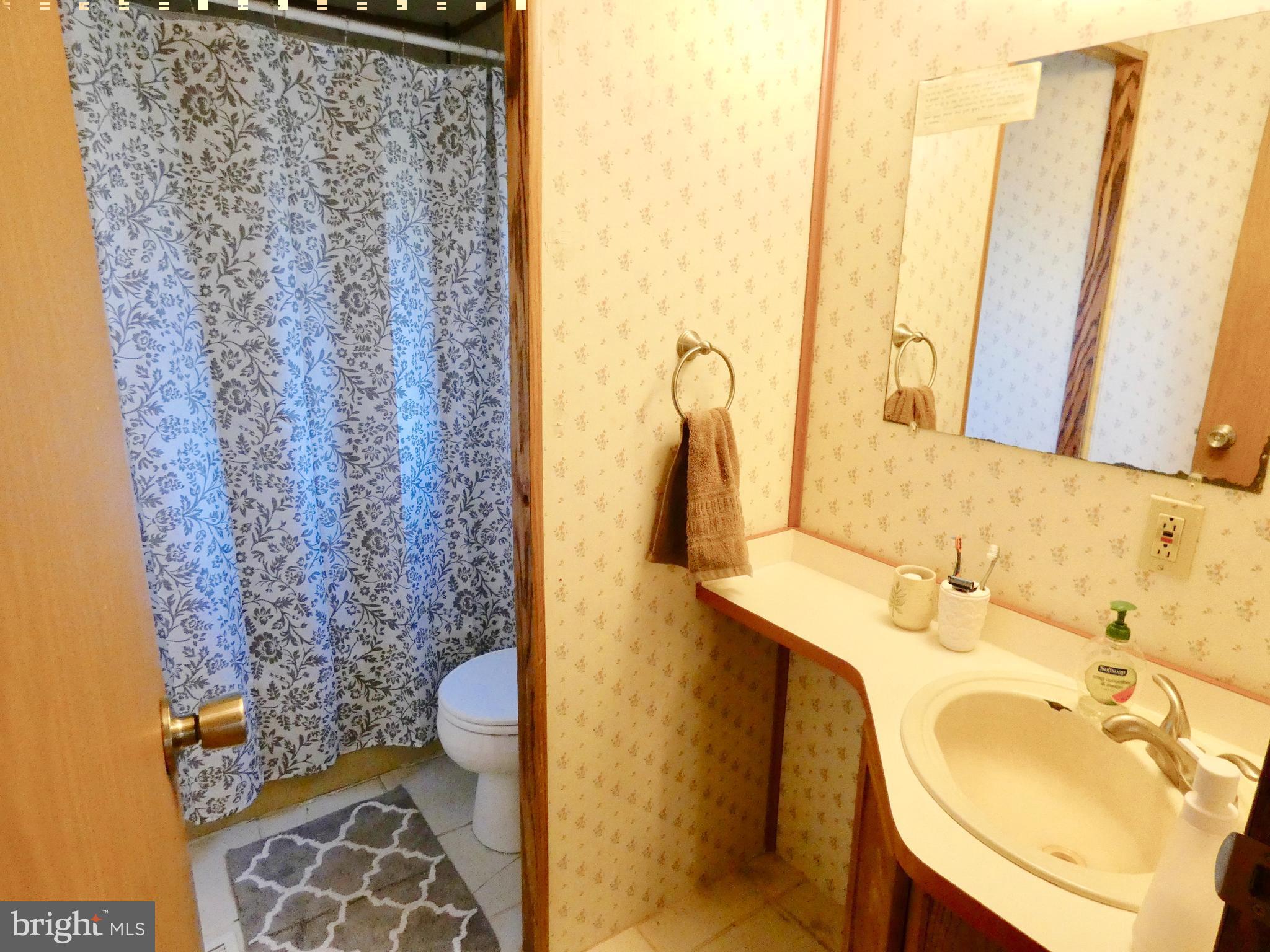 23339 Ninetown Road Ridgely, MD 21660 - Photo 14 of 27 Bath (Master)