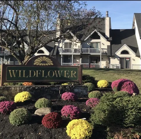 $259,000 | 7 Wildflower, Ellicottville, NY 14731