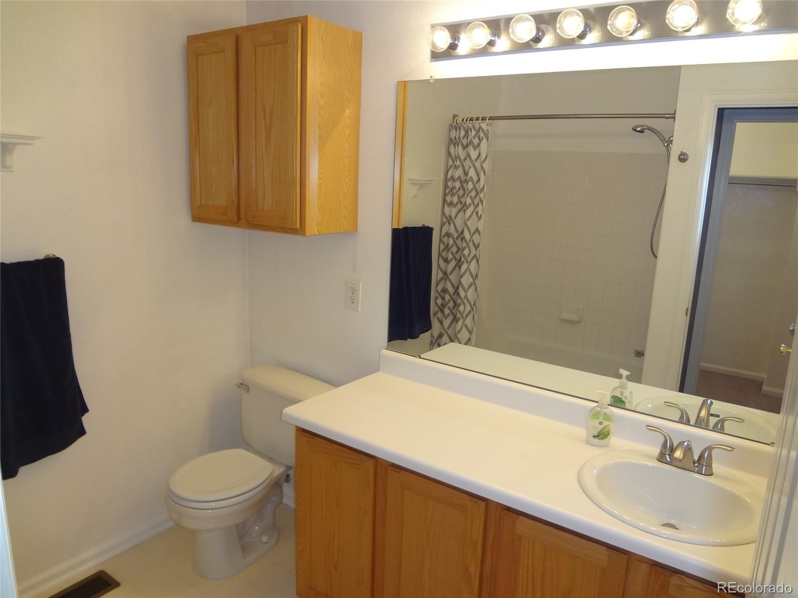9709 South Castle Ridge Circle Highlands Ranch, CO 80129 - Photo 14 of 21 a bathroom with a sink a toilet and mirror