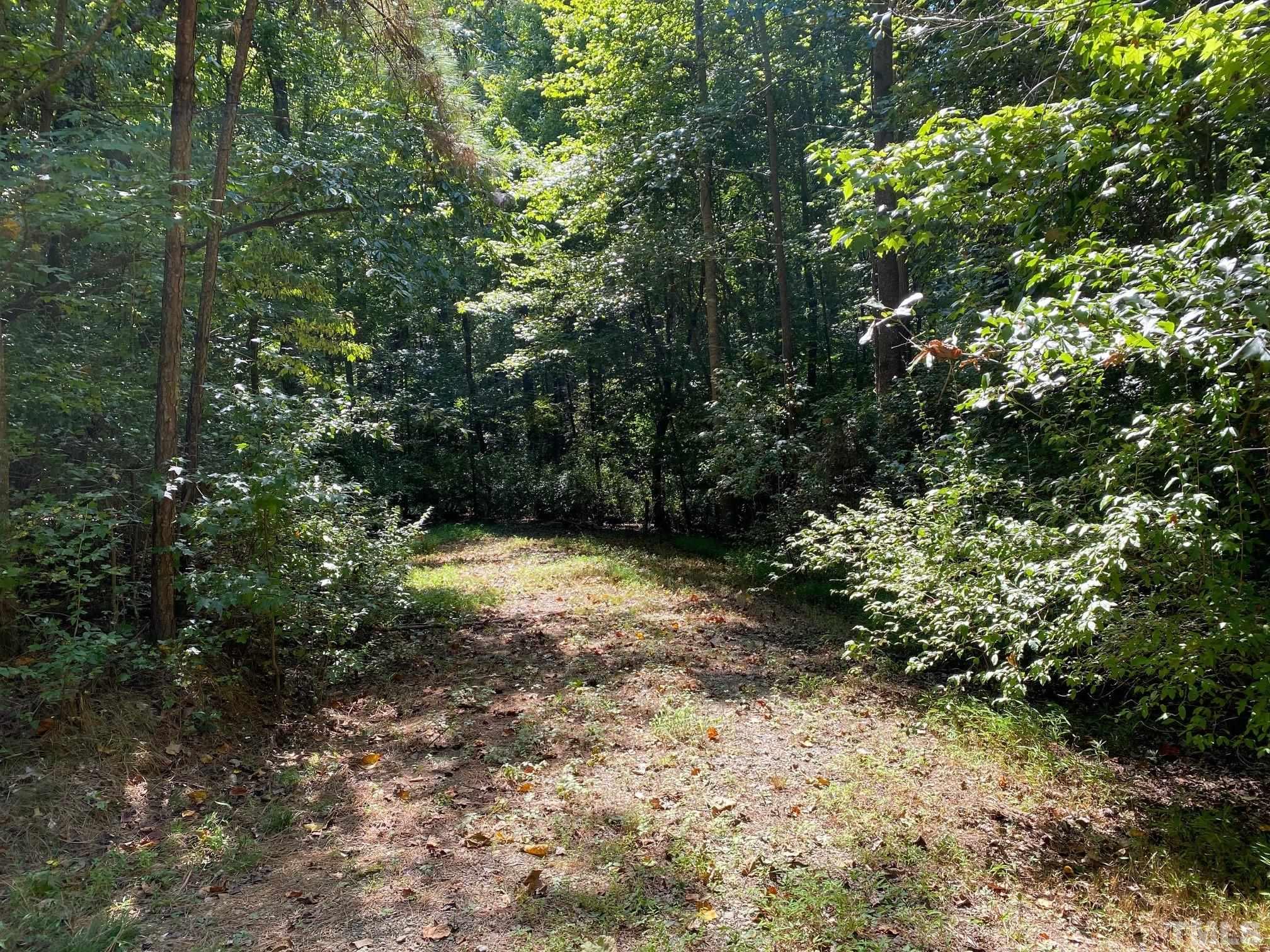 406 Country Routt Brown Road Pittsboro, NC 27312 - Photo 16 of 18 Gallery Image 16