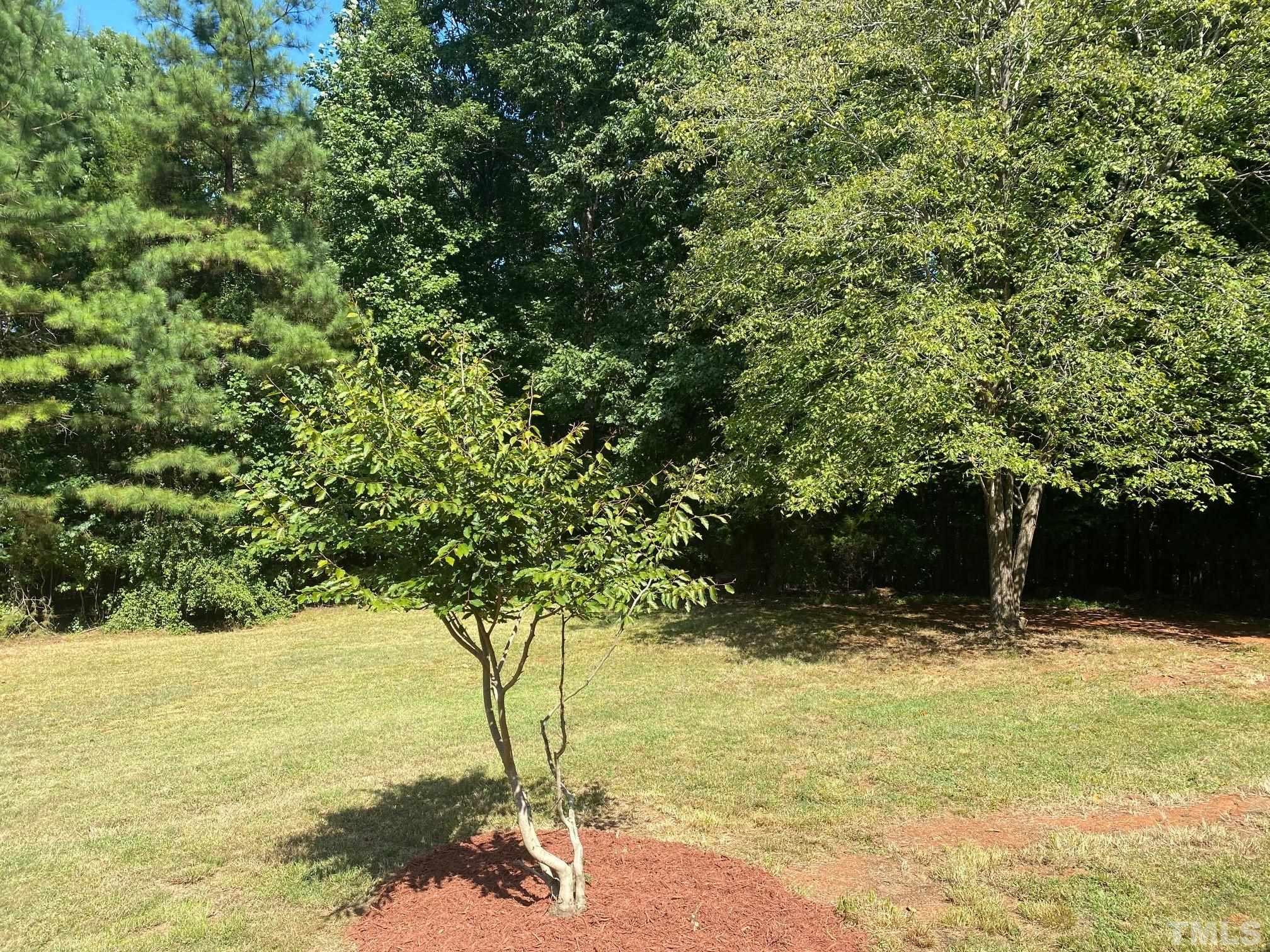 406 Country Routt Brown Road Pittsboro, NC 27312 - Photo 5 of 18 Gallery Image 5