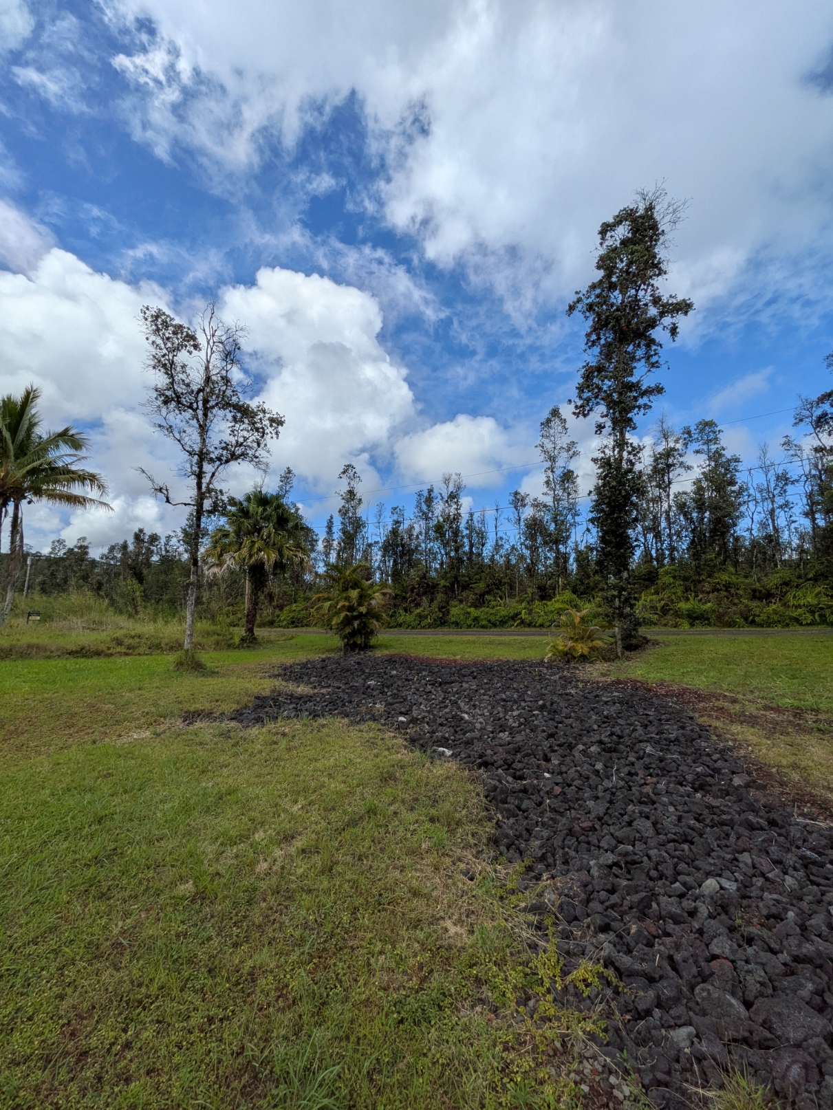 847 Molokai Road Pahoa, HI 96778 - Photo 6 of 24 Gallery Image 6