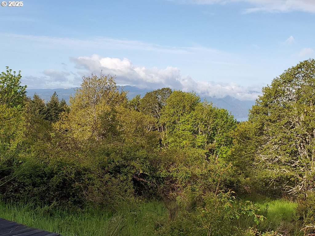 365 Rio Vista White Salmon, WA 98672 - Photo 3 of 8 a view of a lake