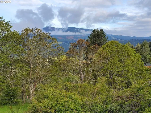 a view of a bunch of trees in a yard
