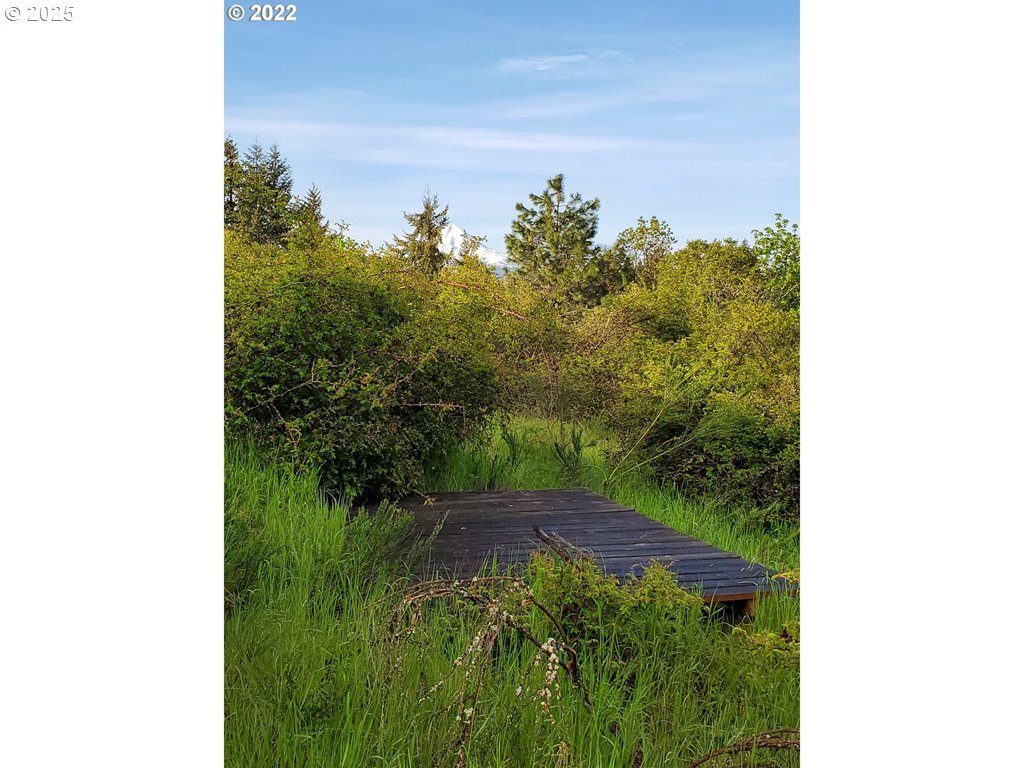 365 Rio Vista White Salmon, WA 98672 - Photo 5 of 8 a view of a yard