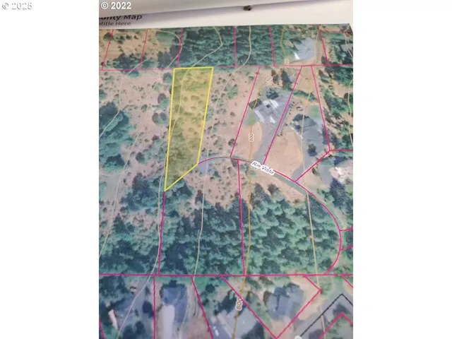 a view of a yard with plants and a trees