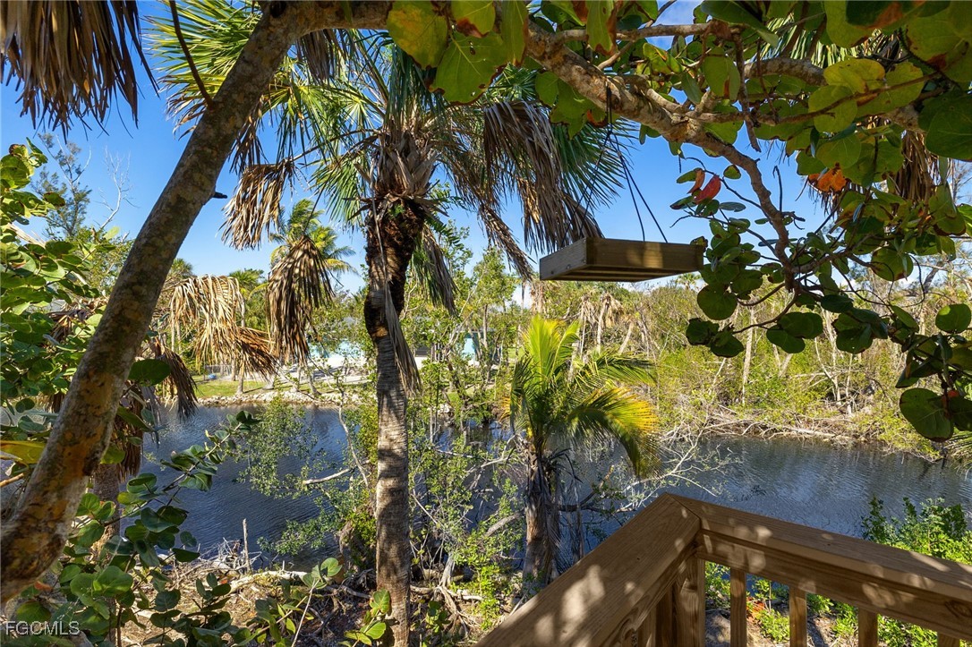 4631 Bowen Bayou Road Sanibel, FL 33957 - Photo 28 of 39 a picture of a tree