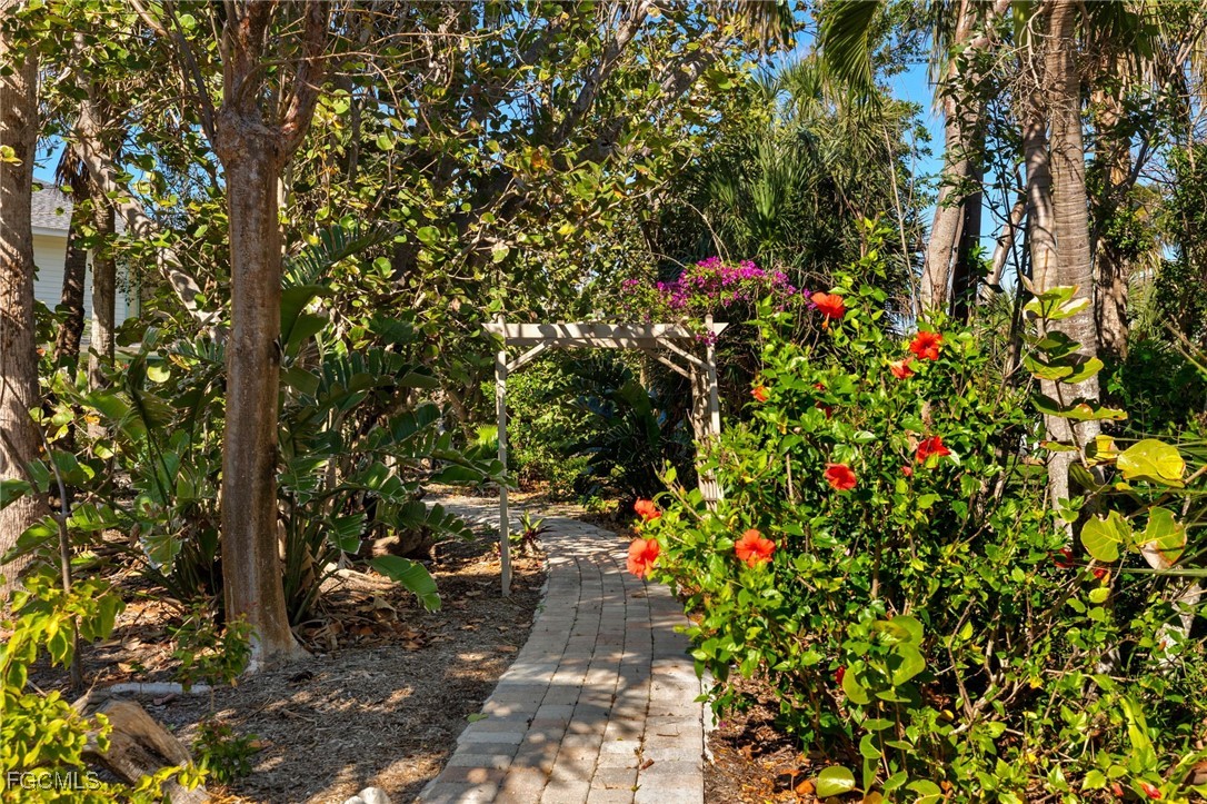 4631 Bowen Bayou Road Sanibel, FL 33957 - Photo 29 of 39 a picture of flowers
