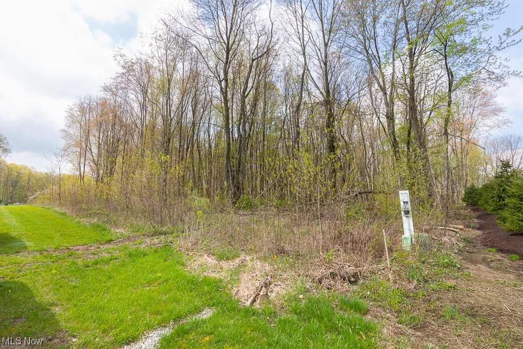8642 Hunters Ridge Run Wadsworth, OH 44281 - Photo 4 of 8 Gallery Image 4
